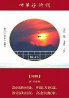 中华好诗词2020报名