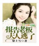 报告老板第一季完整版下载