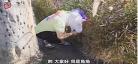 独角show角角微博