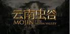电影在线观看