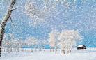 和雪有关的动画电影